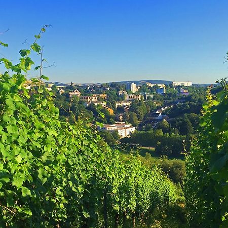 Schroeders Wein-Style-Hotel Trewir Zewnętrze zdjęcie