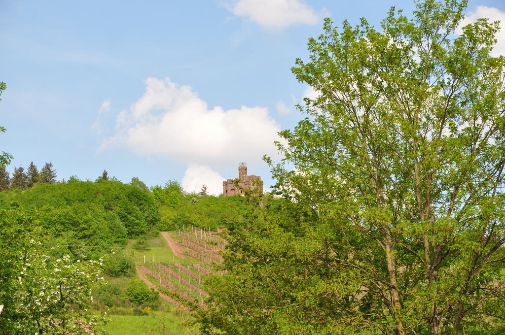 Schroeders Wein-Style-Hotel Trewir Zewnętrze zdjęcie