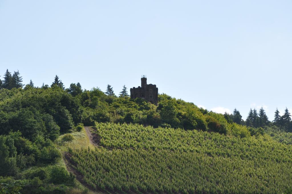 Schroeders Wein-Style-Hotel Trewir Zewnętrze zdjęcie