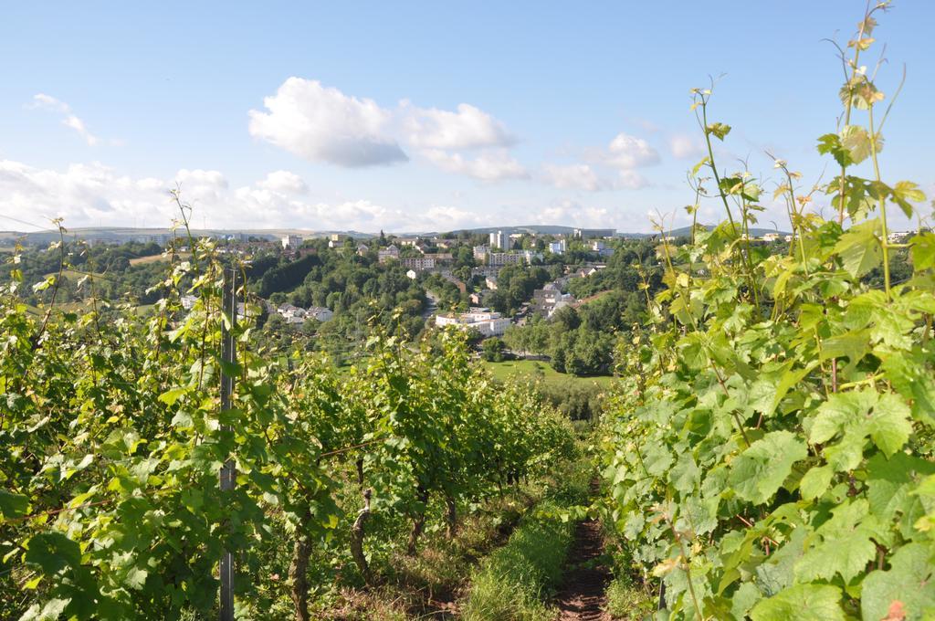 Schroeders Wein-Style-Hotel Trewir Zewnętrze zdjęcie