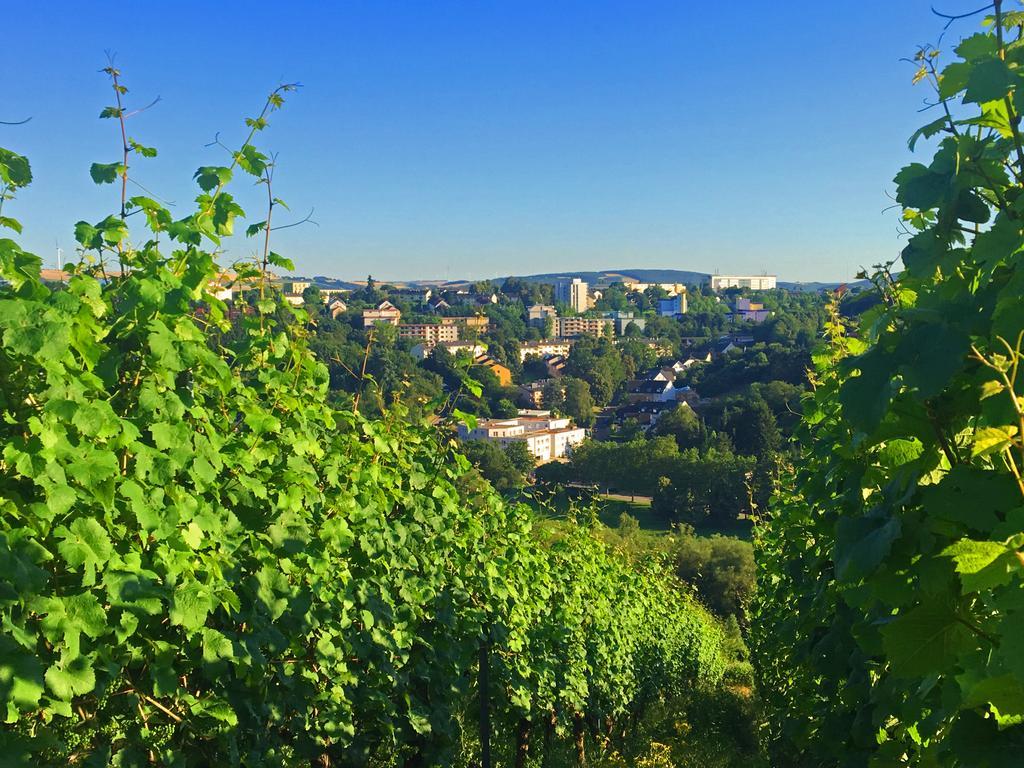 Schroeders Wein-Style-Hotel Trewir Zewnętrze zdjęcie