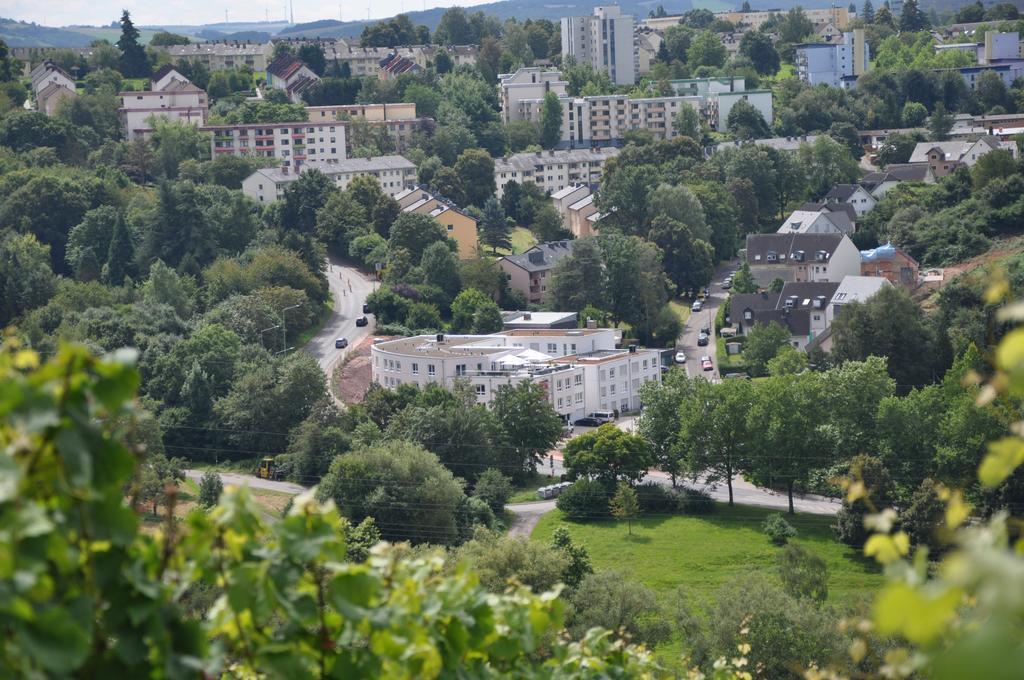 Schroeders Wein-Style-Hotel Trewir Zewnętrze zdjęcie