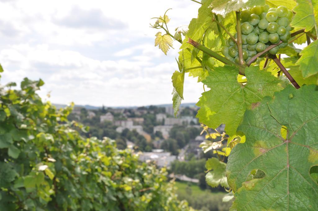 Schroeders Wein-Style-Hotel Trewir Zewnętrze zdjęcie