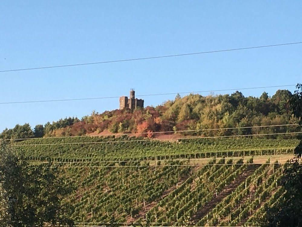 Schroeders Wein-Style-Hotel Trewir Zewnętrze zdjęcie